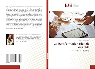 La Transformation Digitale des PME: sous contrainte du RGPD